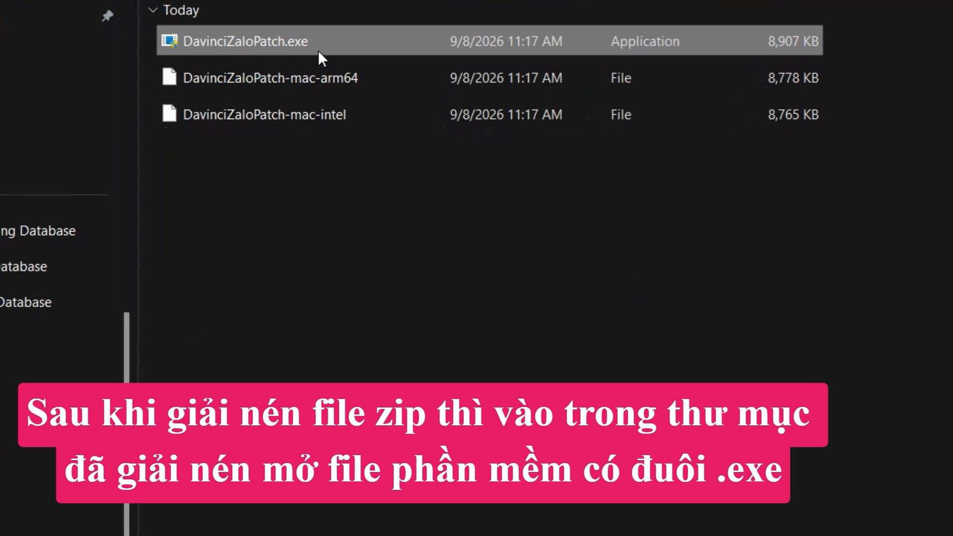 Mở tệp DavinciZaloPatch.exe